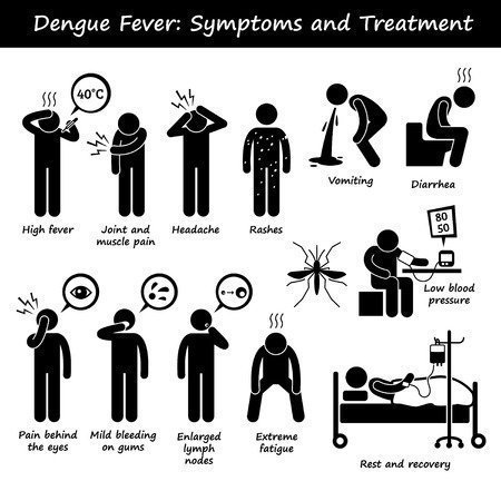 This image has an empty alt attribute; its file name is Dengue-Fever-Symptoms-Sri-Lanka-Prevention.jpg