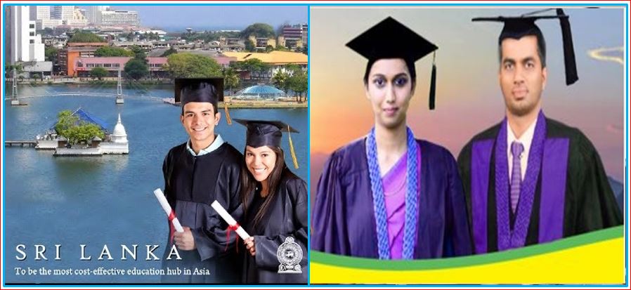 free education investment zone